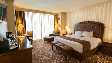 hotel room with 1 king bed