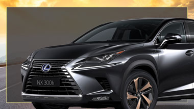 Win a Lexus